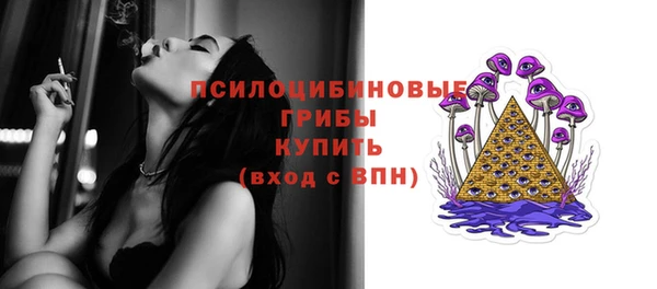 стафф Алзамай