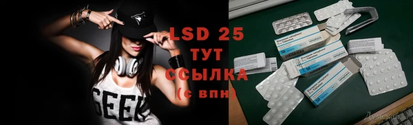 стафф Алзамай