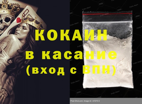 хмурый Абаза