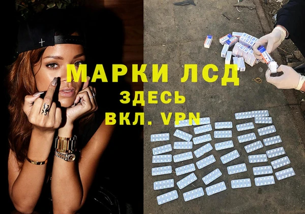 стафф Алзамай